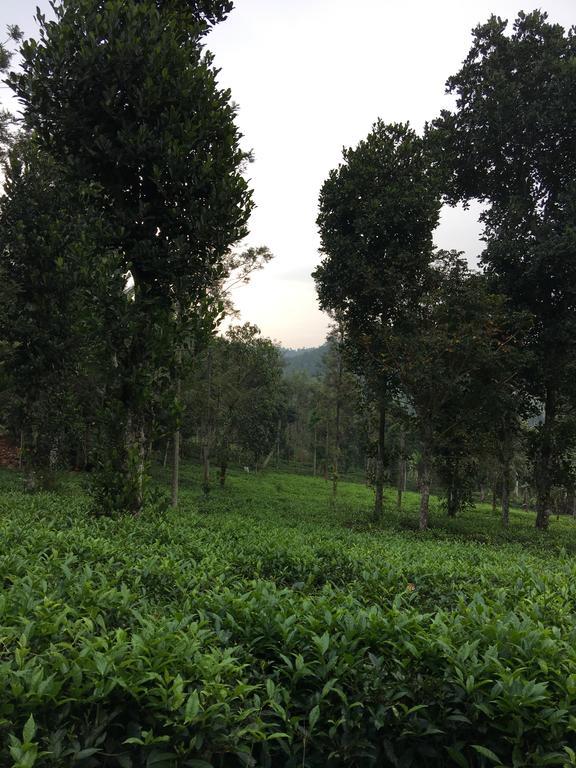 Harmony Farm Wayanad Villa Sultan Bathery Bagian luar foto