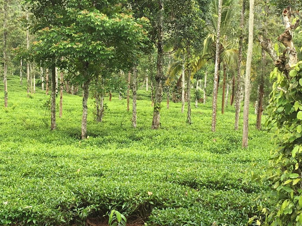 Harmony Farm Wayanad Villa Sultan Bathery Bagian luar foto